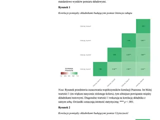 Podgląd analizy rzetelności pomiarów